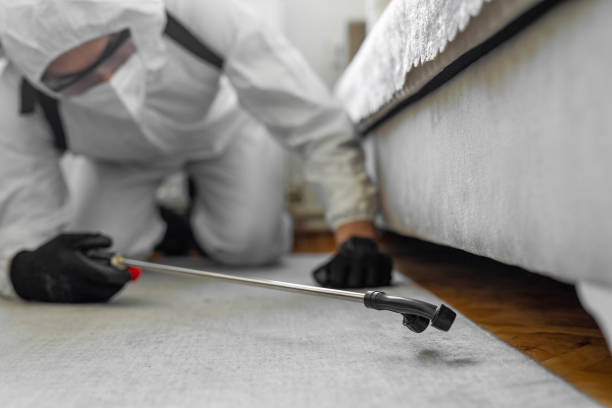 Professional Pest Control technician working in Duval County County, TX
